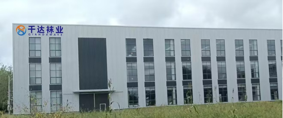 以精益為綱，筑智造基底——安徽千達(dá)襪業(yè)新廠房布局規(guī)劃