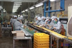 LCIA簡易自動(dòng)化的三個(gè)小故事