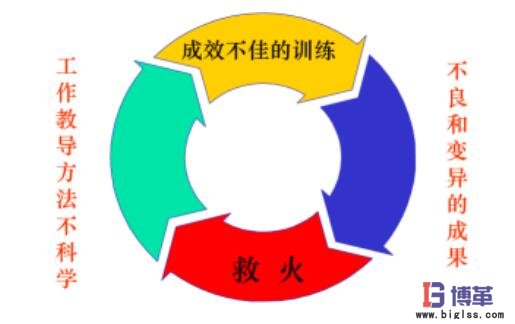 企業(yè)的工作教導(dǎo)